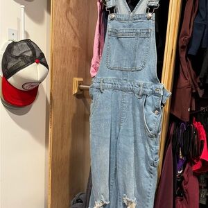 NWOT Wild Fable Overalls with Distressed Details